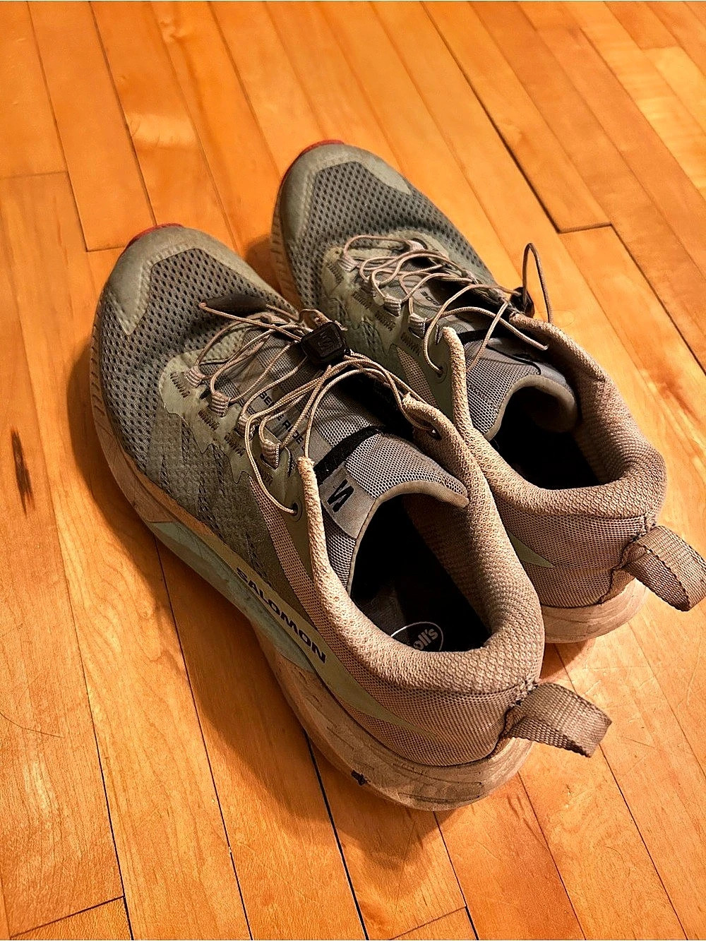 Salomon sneakers US 8